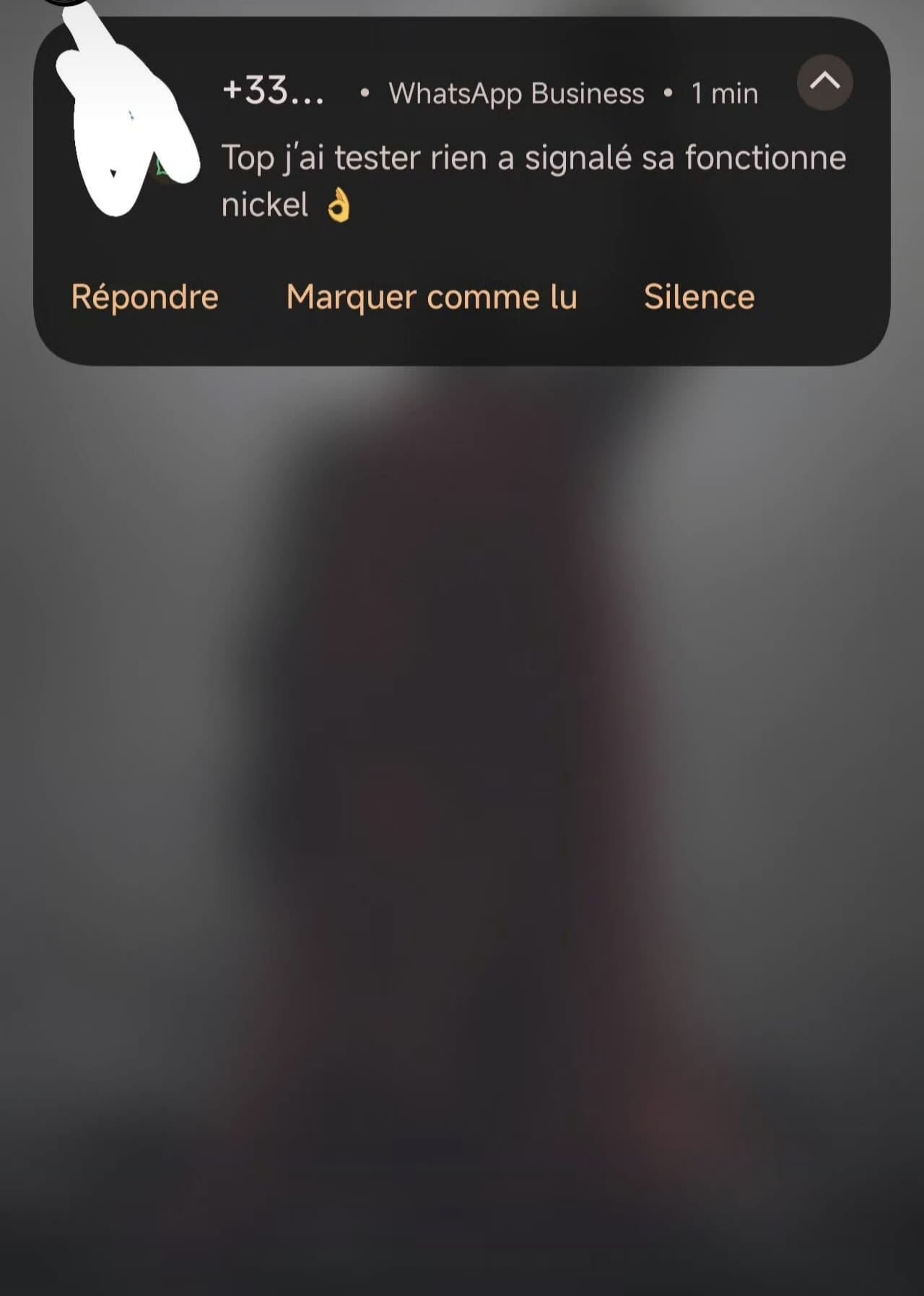 Avis client — Fichier testé sur véhicule